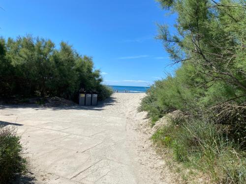 Appartement à la Grande Motte à 50m de la plage
