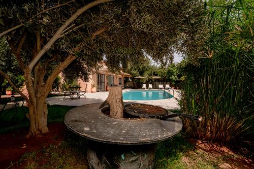 a bird bath with a tree next to a pool at Chalet berbère 2 Chambres avec Piscine &Wifi fibre in Essaouira