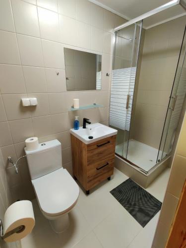 a bathroom with a toilet and a sink and a shower at Pod bocianim gniazdem in Stary Folwark