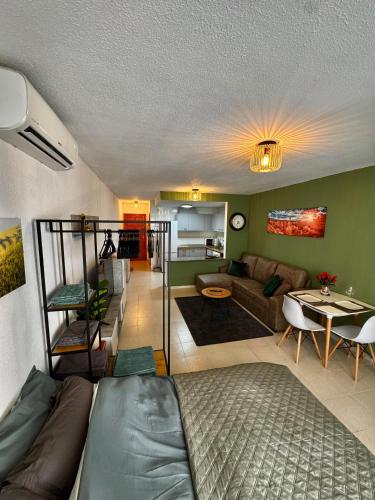 Grande Studio de Playa Del Cura