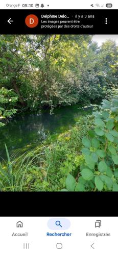 une page d'un site web avec une photo d'une rivière dans l'établissement Mobilhome du Ried, à Boofzheim