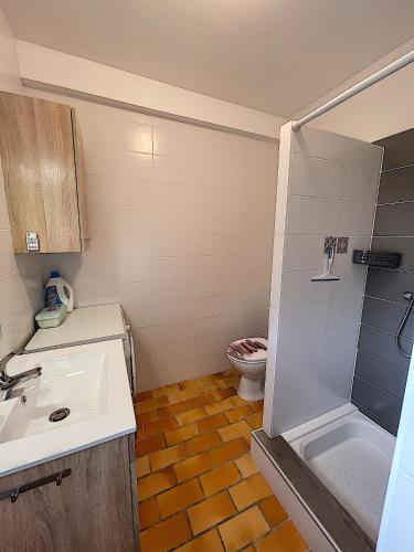 a bathroom with a shower and a sink and a toilet at Appartement Salines 46m2 in Carnac