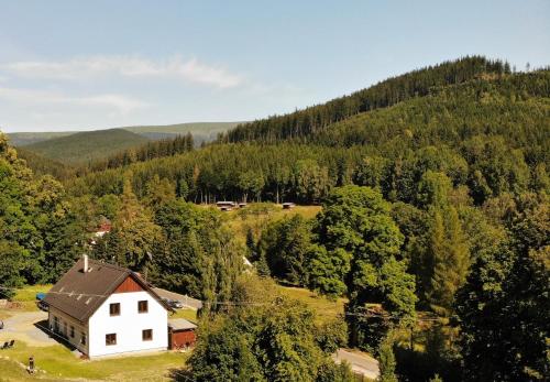 an aerial view of a house in the middle of a forest at Apartmány U Zajíců in Karlov