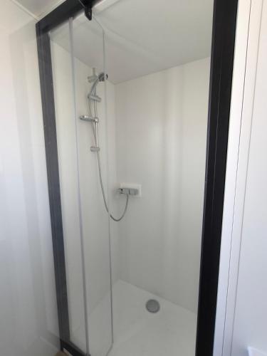 a shower with a glass door in a bathroom at Oasis 4 personnes in Pamiers