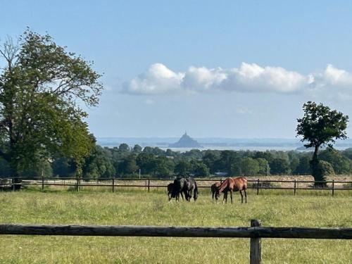 Foto dalla galleria di La Bretonniere a Dragey