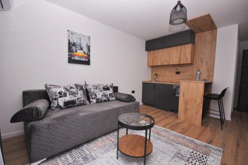 Kuchyň nebo kuchyňský kout v ubytování New Studio - Dobra Voda