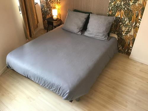 a bed with two pillows on it in a room at Chambre Cosy 3 in Montauban