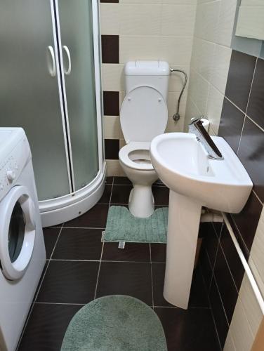 a bathroom with a toilet and a sink and a shower at Spital 1 cameră living in Târgu-Mureş