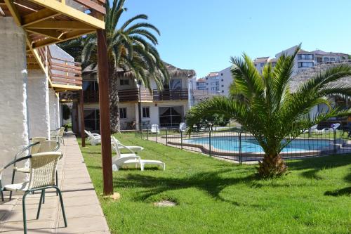 a patio with chairs and a palm tree next to a pool at Cabañas Las Añañucas I in La Serena