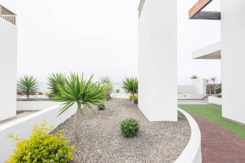 Ocean View Beautiful Aparmentにある庭