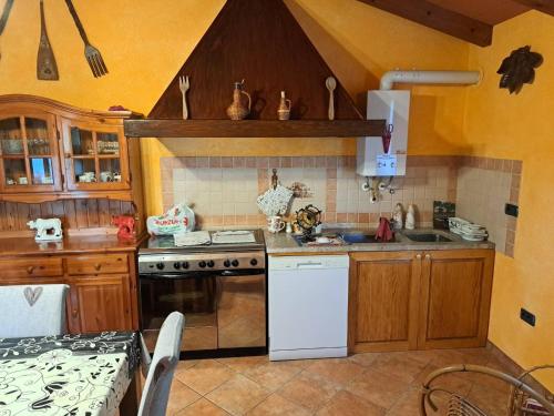 a kitchen with a stove and a white dishwasher at App Mariuccia in Umag