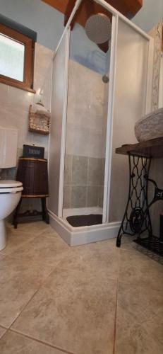a bathroom with a shower and a toilet at App Mariuccia in Umag
