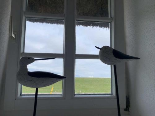 Billede fra billedgalleriet på Friesenhof Windfang i Nordstrand