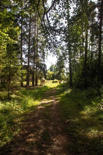 Příroda nedaleko kempu