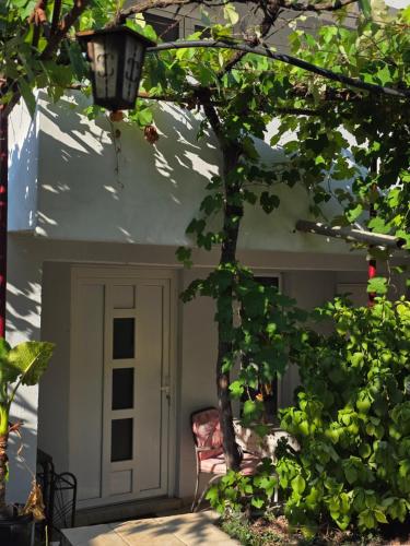 Φωτογραφία από το άλμπουμ του Bozovic Apartments I στην Μπούντβα