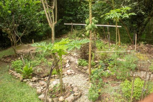 a garden with some plants and rocks and trees at Habitación grupal en San Carlos con acceso al rio y desayuno incluido in San Carlos