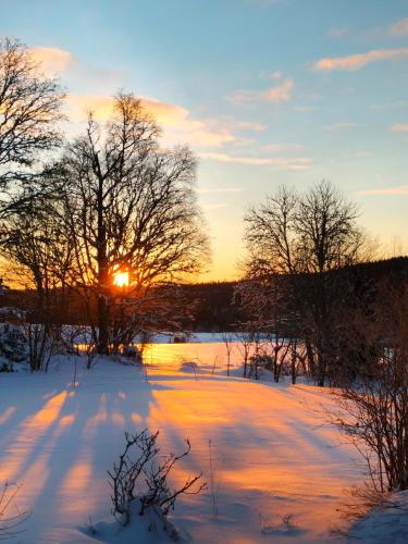 a sunset in a snow covered field with trees at Hagen Familje Farm in Årjäng