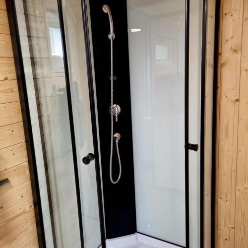 a glass door with a shower in a room at Ferienwohnung Viona in Neustrelitz