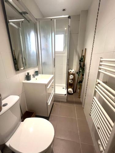 une salle de bain avec toilettes, lavabo et douche dans l'établissement Cosy corner Paradise, à Villeneuve-Loubet