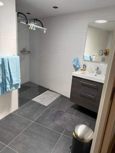 a bathroom with a sink and a mirror at Maison Lelystad in Ons Belang