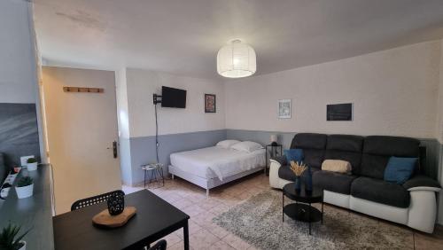 un salon avec un canapé et un lit dans l'établissement T2 centre rénové 36 m2 confort !, à Charleville-Mézières