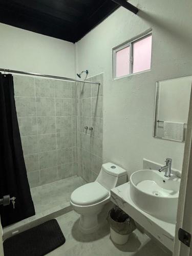 a bathroom with a toilet and a sink and a shower at Rivadeneyra Hotel Boutique in Iguala de la Independencia