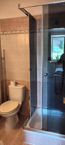 a bathroom with a toilet and a shower at Penzion Bara in Přední Výtoň
