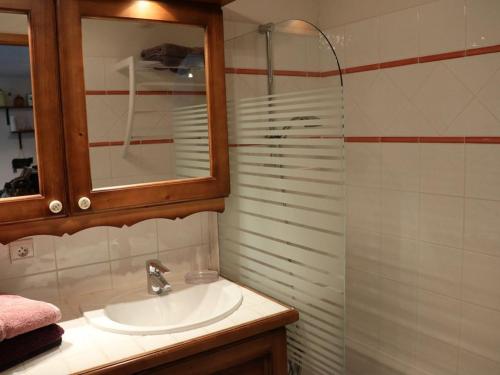 une salle de bain avec un lavabo et une douche dans l'établissement Agréable appartement 2 chambres, pied des pistes à Morillon - FR-1-642-101, à Morillon