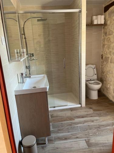 a bathroom with a shower and a sink and a toilet at Chambres d'hôtes Le Malbouyssou in Lascabanes
