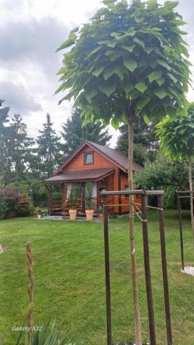 Φωτογραφία από το άλμπουμ του Domek pod jabłonią Mikoszewo σε Mikoszewo
