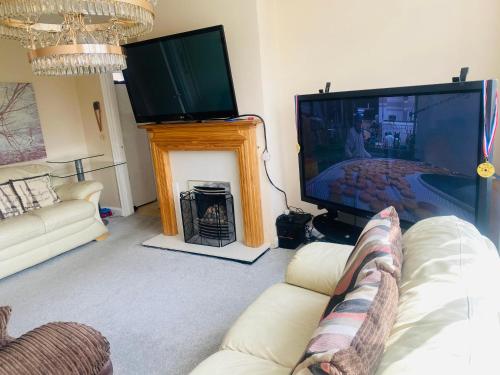 TV/Unterhaltungsangebot in der Unterkunft Clayton Home