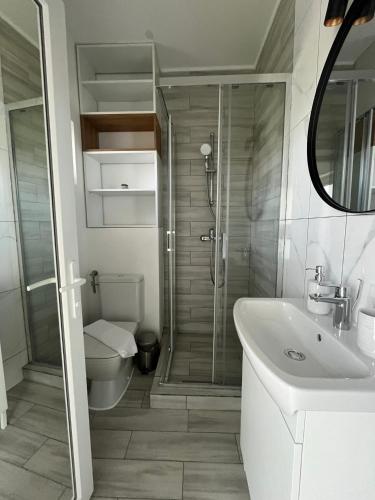 a bathroom with a shower and a toilet and a sink at Maison 25 in 2 Mai