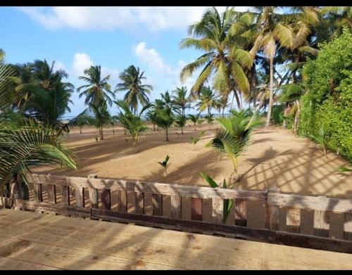 Gallery image of Punta Cana Ecolodge In front of the beach Lavacama Costa Arrecife by BTC Crypto Group in El Eslabón