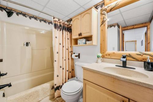 a bathroom with a toilet and a sink and a shower at Scenic Spider Lake Beach Resort Pontoon Rentals in Traverse City