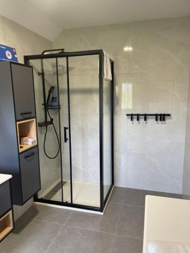 オグリンにあるStudio apartman SALOPEK 2の浴室のガラス扉付きシャワー