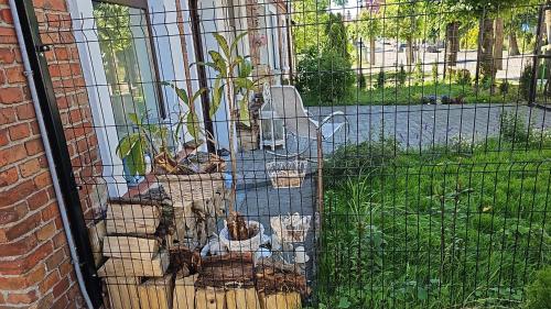 Κήπος έξω από το Magical places Unter den Linden