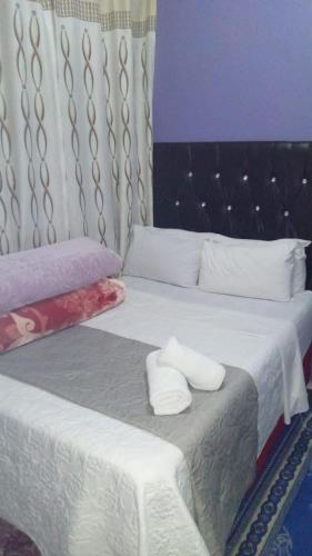 Gallery image of The Croc Guest house in Springs