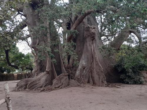 Un paisaje natural cerca del departamento