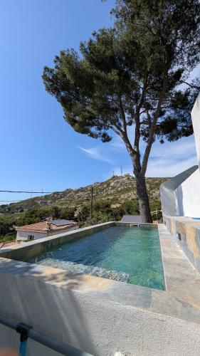 une piscine avec un arbre à côté d'un arbre dans l'établissement 20 m2 studio dans les Calanques, à Marseille