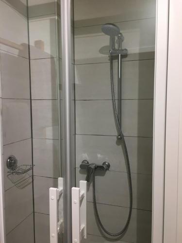a shower with a shower head in a bathroom at le studio du lac in Annecy