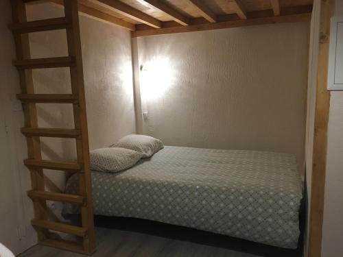 a bedroom with a bunk bed with a ladder at le studio du lac in Annecy
