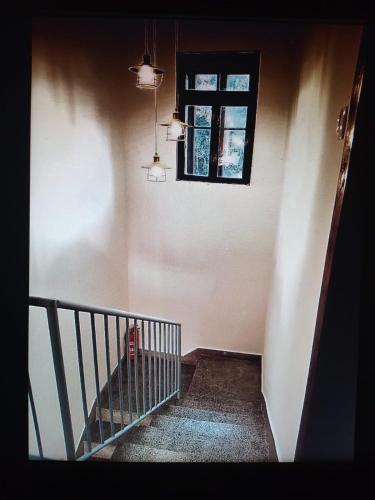 Φωτογραφία από το άλμπουμ του Zorin House Rooms σε Jezera
