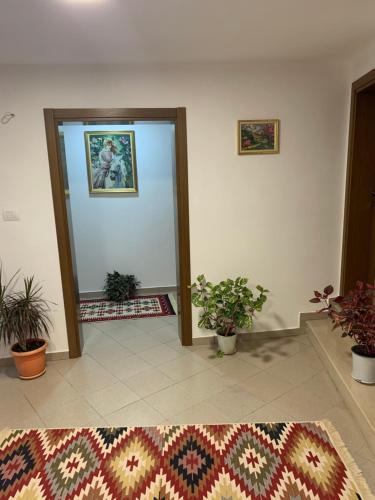 Fotografie z fotogalerie ubytování Guest House Zverku - 1873 v destinaci Gjirokastër