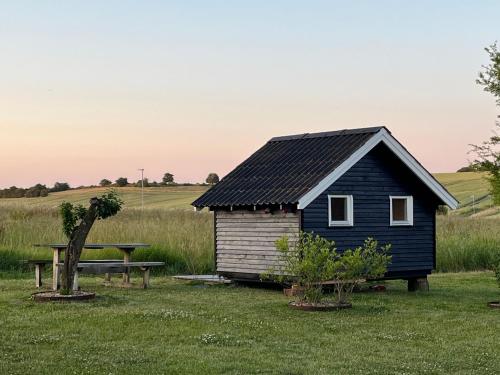 a blue house in a field with a picnic table at Hyggelig hytte i landlig idyl in Sønderborg