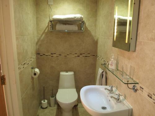 La petite salle de bains est pourvue de toilettes et d'un lavabo. dans l'établissement The Stables at Owlett Hall, à Crowle