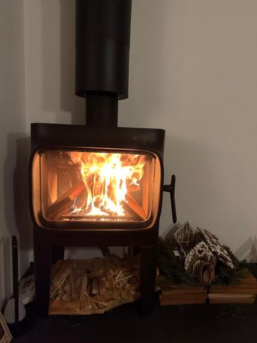 One of the kind Prague Houseboat Experience +BOAT في براغ: موقد بداخله نار