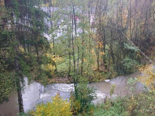 a painting of a river in a forest at Chalet in Reinskopf with Fireplace and Balcony in Schönecken