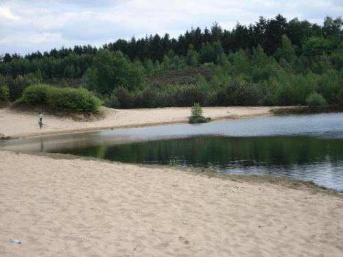 Gallery image of Ferienhaus Uelsener Waldversteck, cleaning included in Uelsen