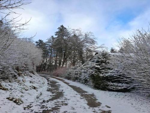a snow covered road with trees on a hill at Chalet in Germany with Fireplace & Terrace in Schönecken