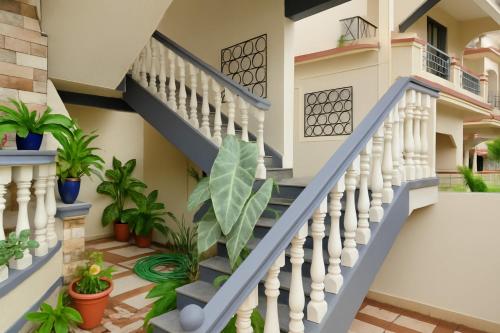 a staircase in a house with plants at XZ Apartment and Villa with kitchen GOA in Nagoa-Bardez
